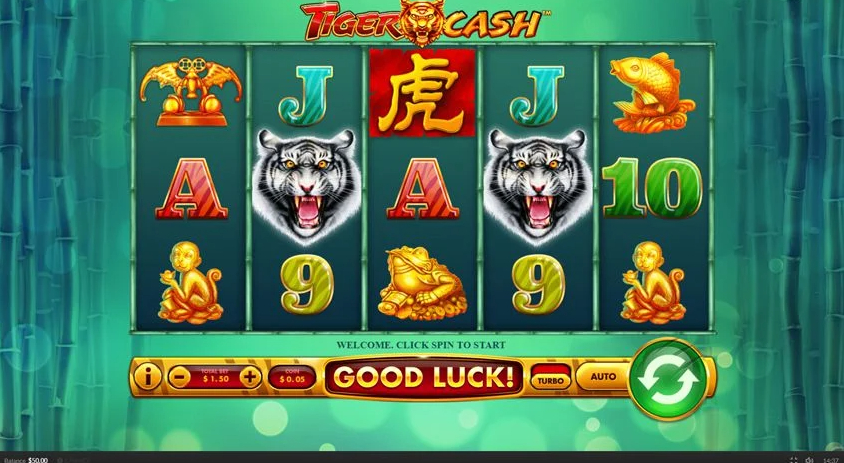 Tiger Cash Slot fun88 รห สค ปอง